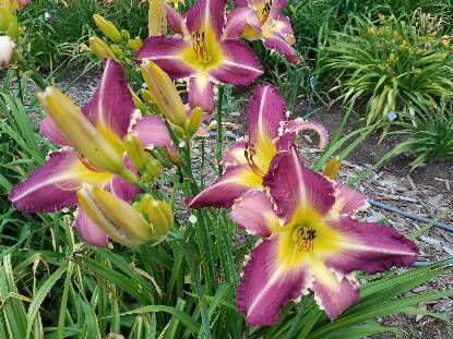 STANDING PROUD - Image 2