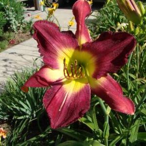 ART GALLERY QUILLING