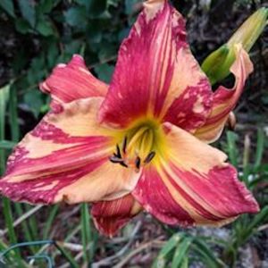 EXPLOSION IN THE PAINT FACTORY