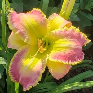 FROM HEAVEN FOR HELEN