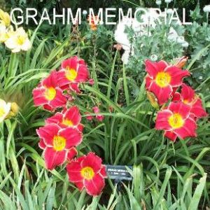GRAHAM MEMORIAL
