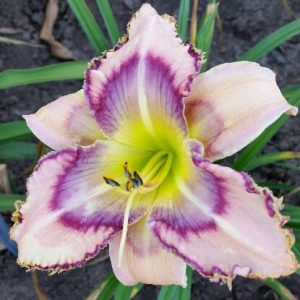 HAND WRITING ON THE WALL