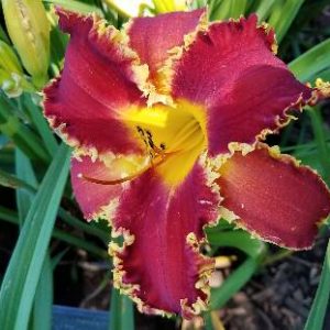 HAPPY HOLIDAYS TO YOU