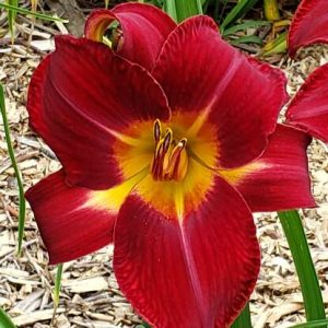 LINDA'S BIG RED TOWER