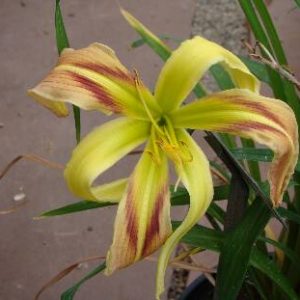 MOUNTAIN TOP EXPERIENCE