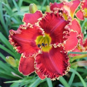 SIXTIETH ANNIVERSARY