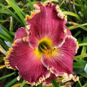 SPACECOAST FANTASTIC FINISH