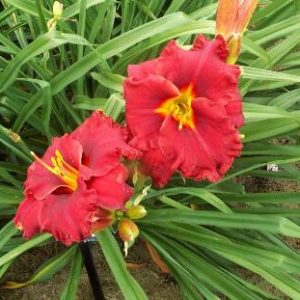 SUDDENLY IT'S AUTUMN