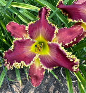 WHAT FRIENDS CAN DO - Image 2